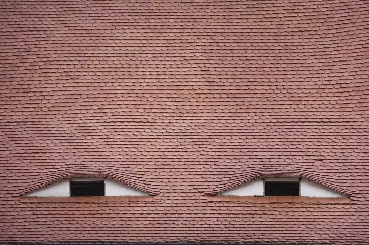 oczy zrobione z dachówek i okien na dachu